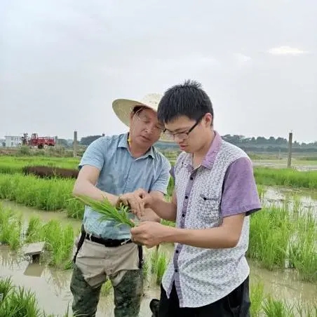 熊老师和员工进行田间考察 熊老师和员工进行田间考察